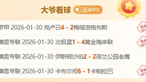申京全面爆发，得分篮板助攻抢断盖帽齐飞，正负值+30力压群雄
