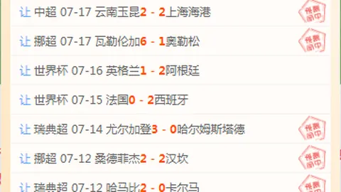 申花选择：平庸教练背后，汉超机会何在
